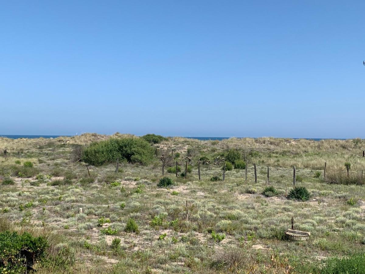Mon Petit Paradis, Vue Sur Dunes Et Mer, Acces Direct Plage Robinson, Terrasse, Parking Prive, Tres Ressourcant, A Marseillan Plage Экстерьер фото